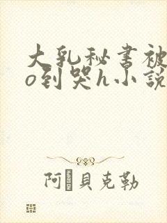 大乳秘书被cao到哭h小说