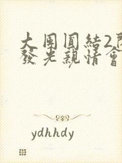 大团圆结2闪闪发光亲情会