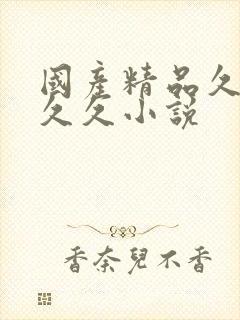 国产精品久久久久久小说