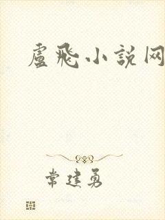 卢飞小说网封面