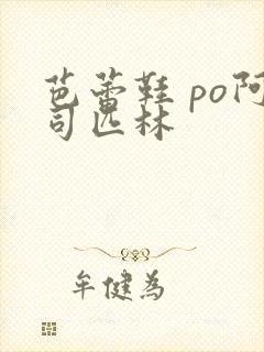 芭蕾鞋 po阿司匹林