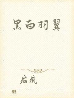 黑白羽翼封面