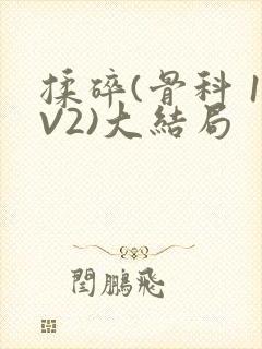 揉碎(骨科 1V2)大结局