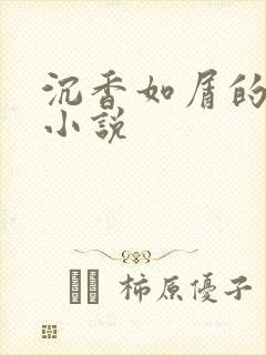 沉香如屑的原著小说