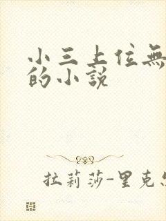 小三上位无三观的小说