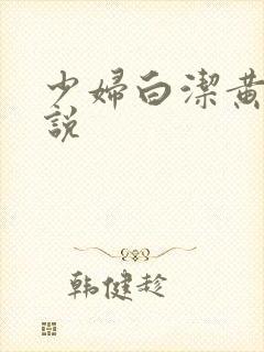 少妇白洁黄色小说封面