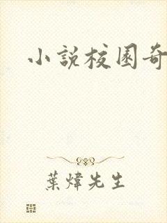 小说校园奇侠封面