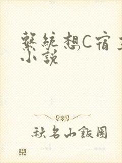 系统想C宿主的小说