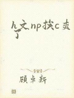 h文np挨c爽了封面