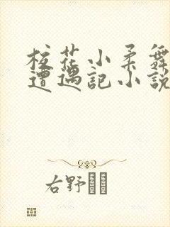 校花小柔舞蹈室遭遇记小说