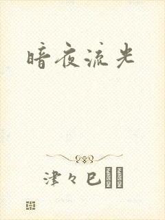 暗夜流光封面