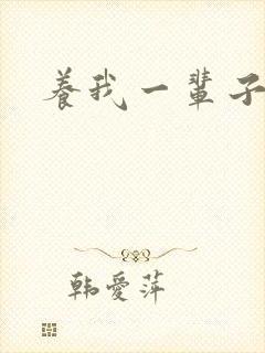 养我一辈子封面