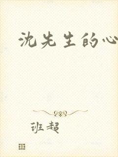 沈先生的心头宝