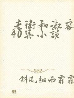 老卫和淑容1-40集小说