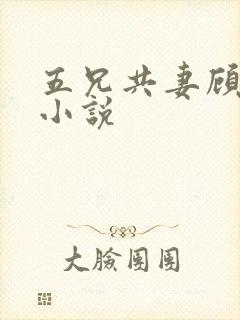 五兄共妻顾心儿小说