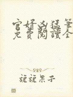 官婿凶猛笔趣阁免费阅读全文