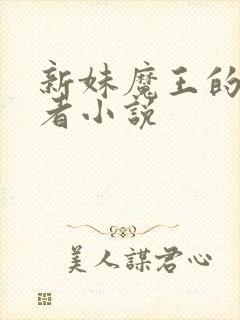 新妹魔王的契约者小说