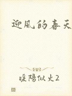 迎风的春天封面