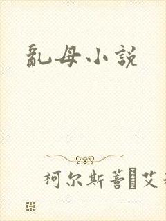 乱母小说