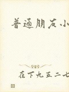 普通朋友小说