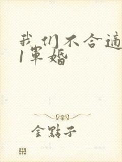 我们不合适1v1军婚