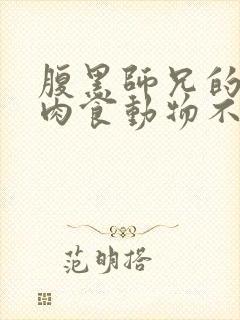 腹黑师兄的日常肉食动物不食草封面