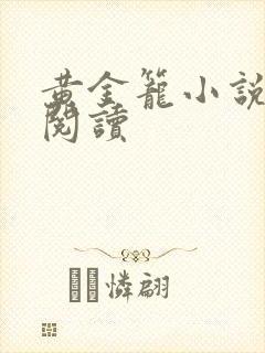 黄金笼小说免费阅读