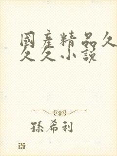 国产精品久久久久久小说