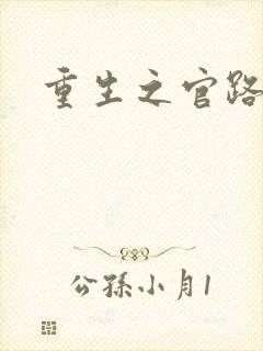 重生之官路风流封面