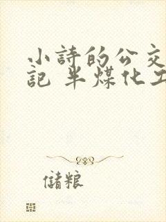 小诗的公交车日记 半煤化工封面