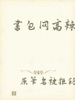 书包网高辣文