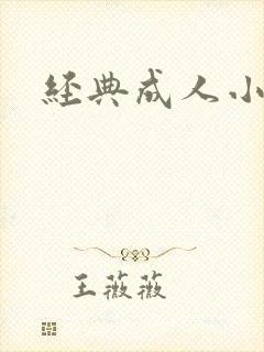 经典成人小说封面