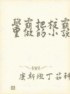 学霸把校霸往死里做的小说