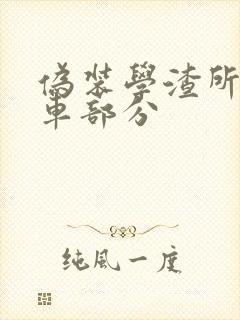 伪装学渣所有开车部分