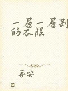 一层一层剥开我的衣服