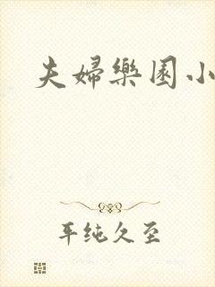 夫妇乐园小说封面