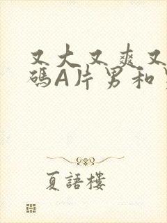 又大又爽又黄无码A片男和男封面