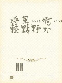 将军灬啊灬啊灬轻点野外封面