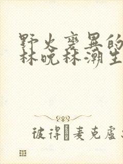 野火变异的父爱林晚林潮生封面