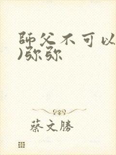 师父不可以(限)弥弥封面