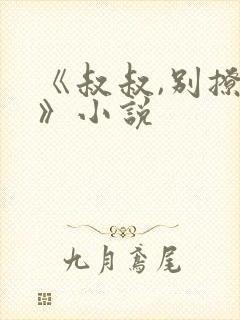 《叔叔,别撩我》小说