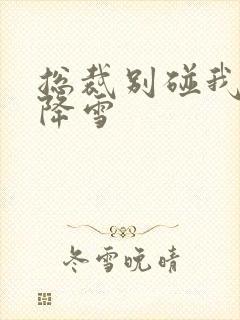 总裁别碰我 韩降雪