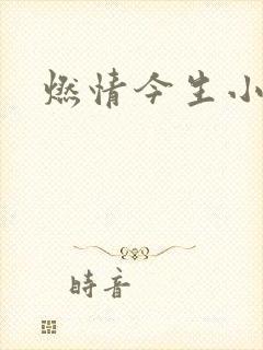 燃情今生小说