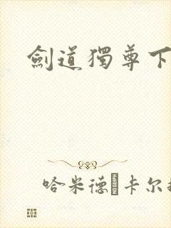 剑道独尊下载