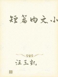 短篇肉文小说封面