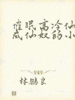 催眠高冷仙奴变成仙奴的小说