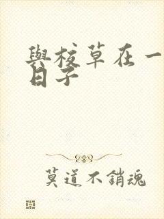 与校草在一起的日子封面