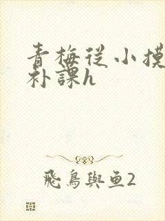 青梅从小摸到大补课h封面