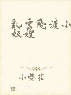 乱云飞渡小说之姣嫂封面