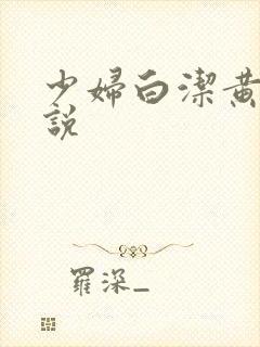 少妇白洁黄色小说